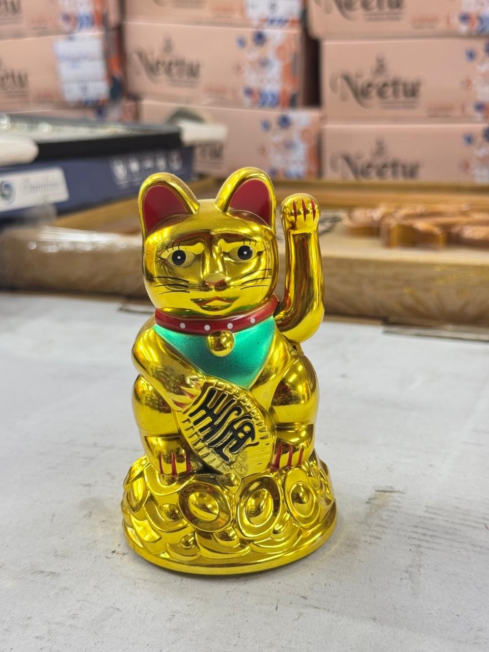 WhatsApp Image 2026-03-12 at 8.27.15 PM